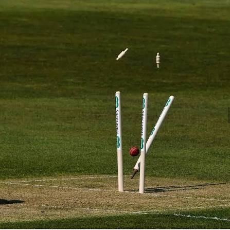 Cricket - Who comes first in your mind after seeing this ? 🔥 #stumps # bowled #bowler #batsman #cricket #ball #cricketuniverse | Facebook