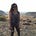 Ilene's avatar