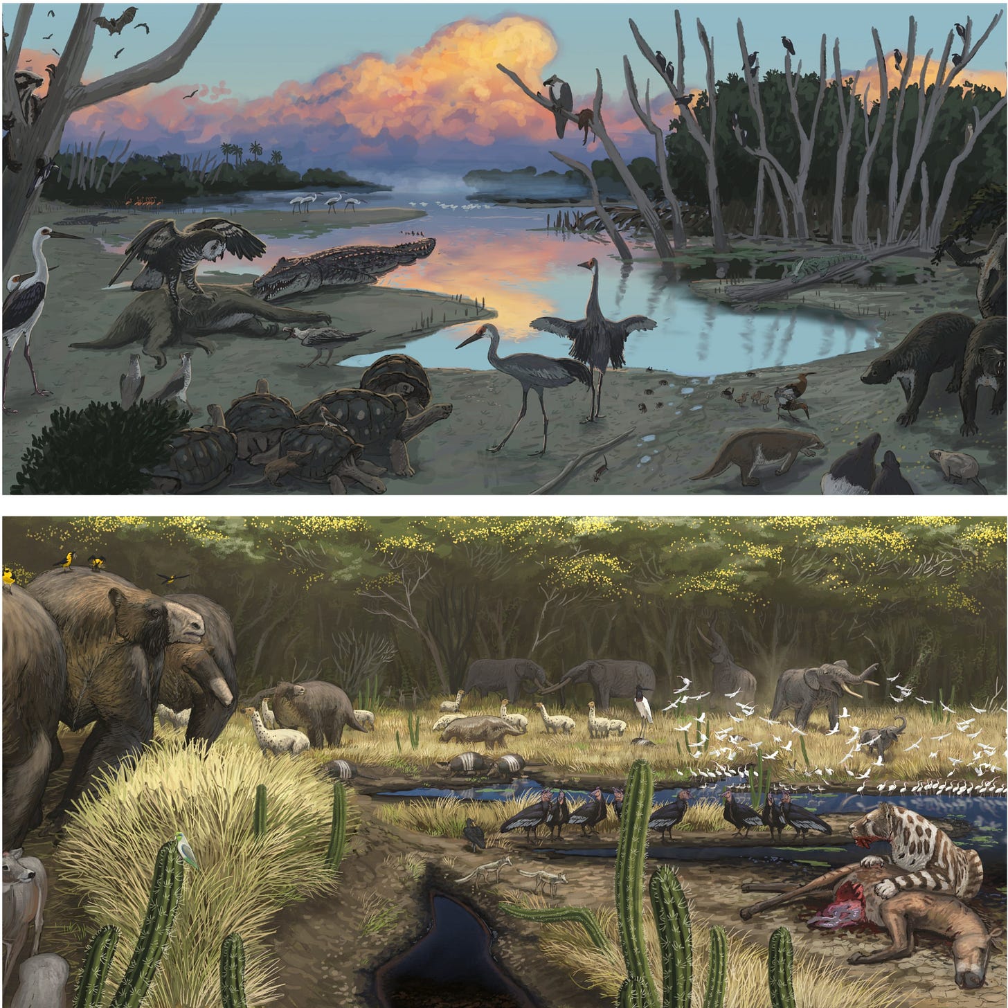 A showcase of the faunal diversity in Pleistocene Cuba and Peru, respectively.