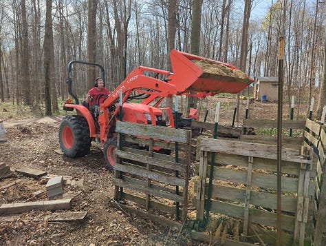 Chicken coop management, Trout lily, new pigs and lambs
