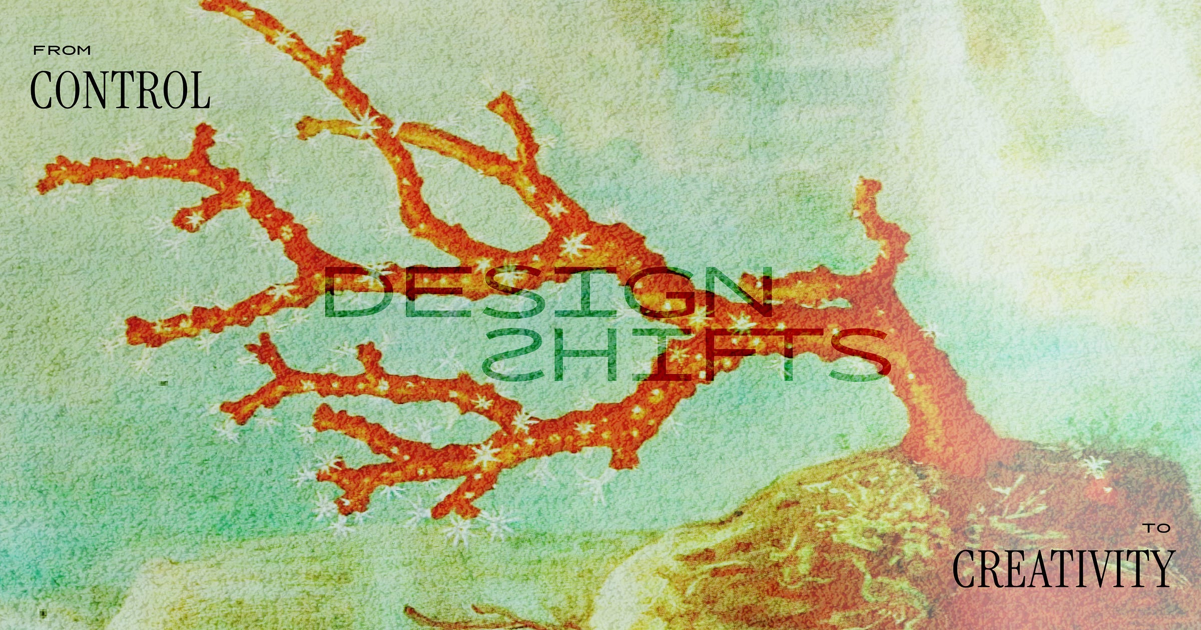 an abstract plant that is red with stars. The text from control to creativity is shown an abstract plant that is red with stars. The text from control to creativity is shown