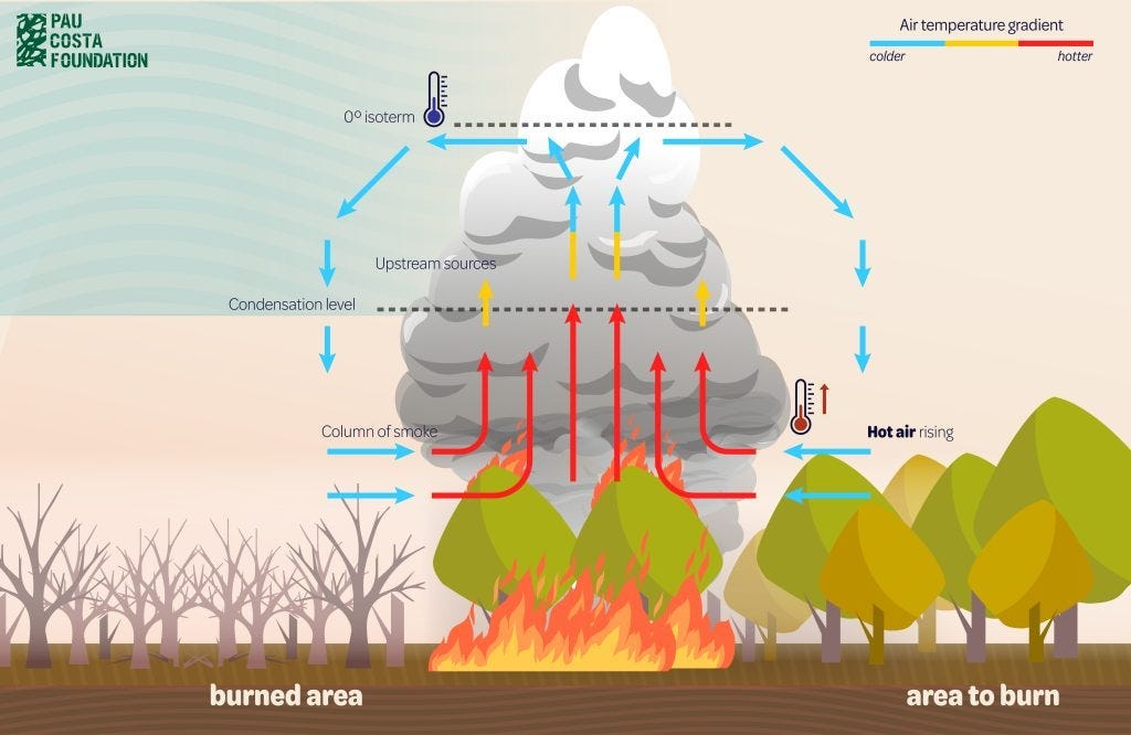 (Source: Pyrocumulus and Pyrocumulonimbus: the clouds of wildfires)