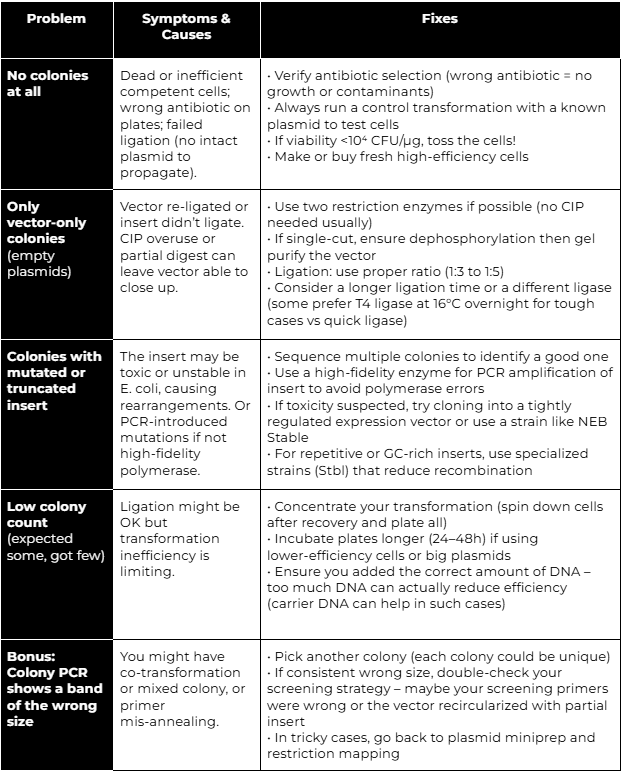 [Full Guide]: Molecular Biology Fails & Fixes (PCR, Cloning, and Preps)