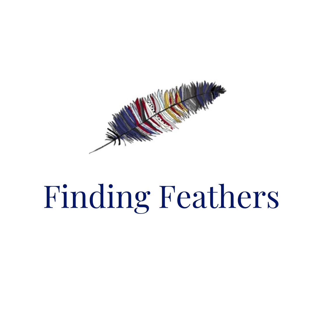 Finding Feathers