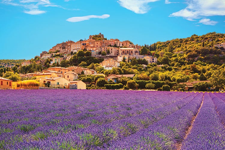 Provence is known for its rosé wines, its fields of lavender, and of course its food and wine. Image from  <a href="https://francetoday.com/travel/travel-features/purple-reign-provence/" target="_new">Purple Reign: Lavender and Provence</a> in FranceToday.com.