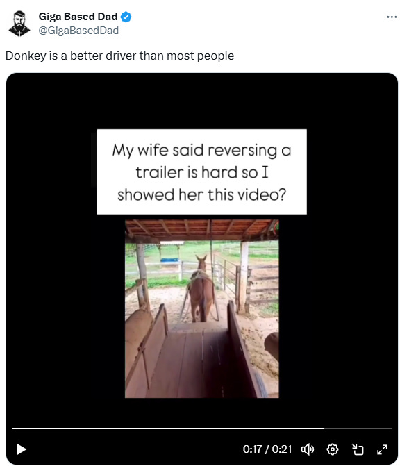 Day Brightener: Donkey is a better driver than most people