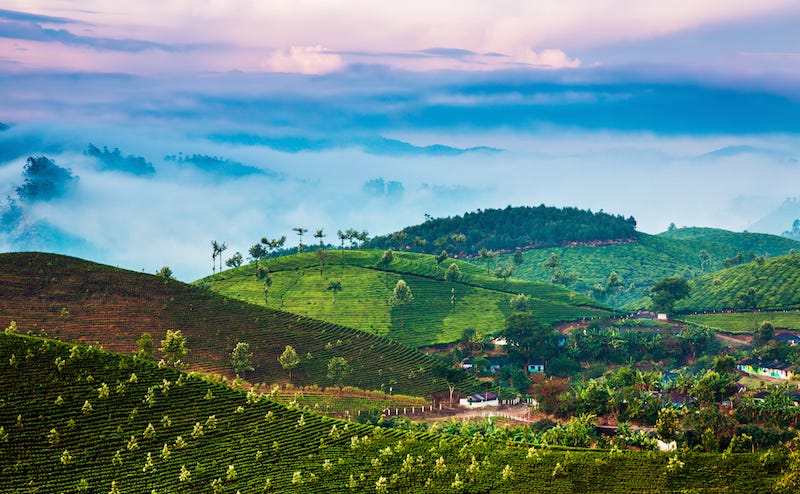 Incredible India: Hiking in the beautiful Western Ghats