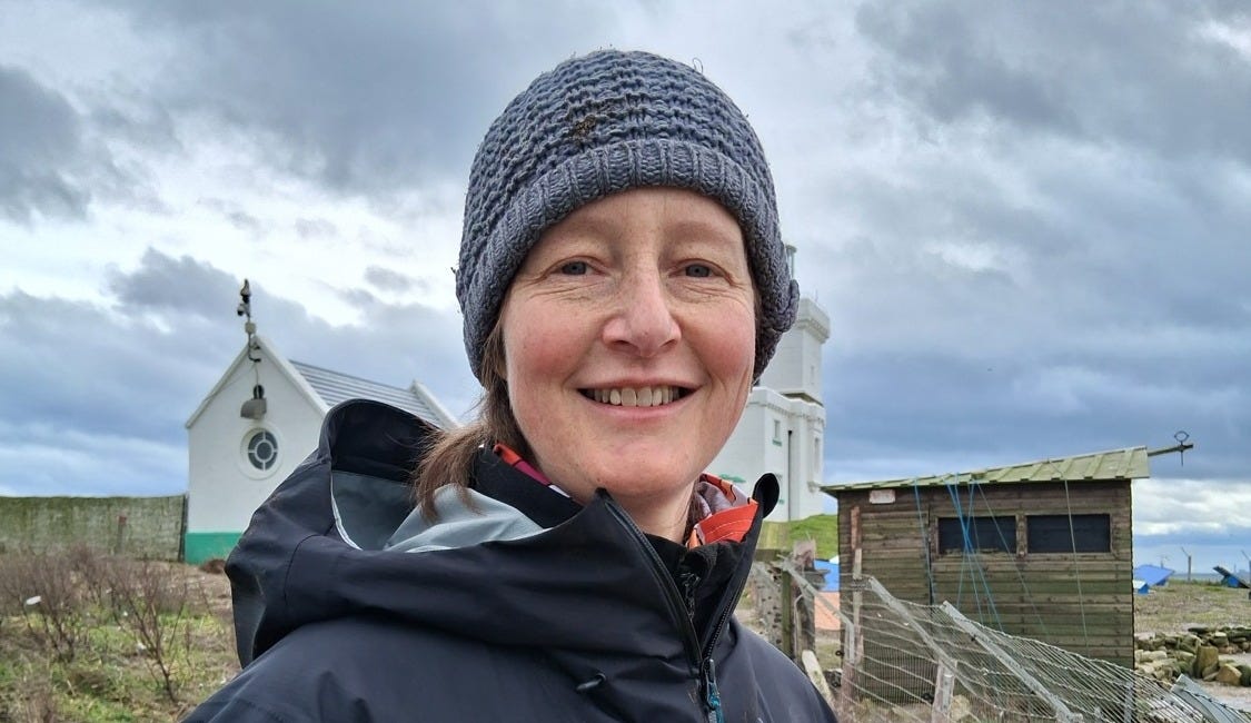 Conservationist comes home to protect seabirds
