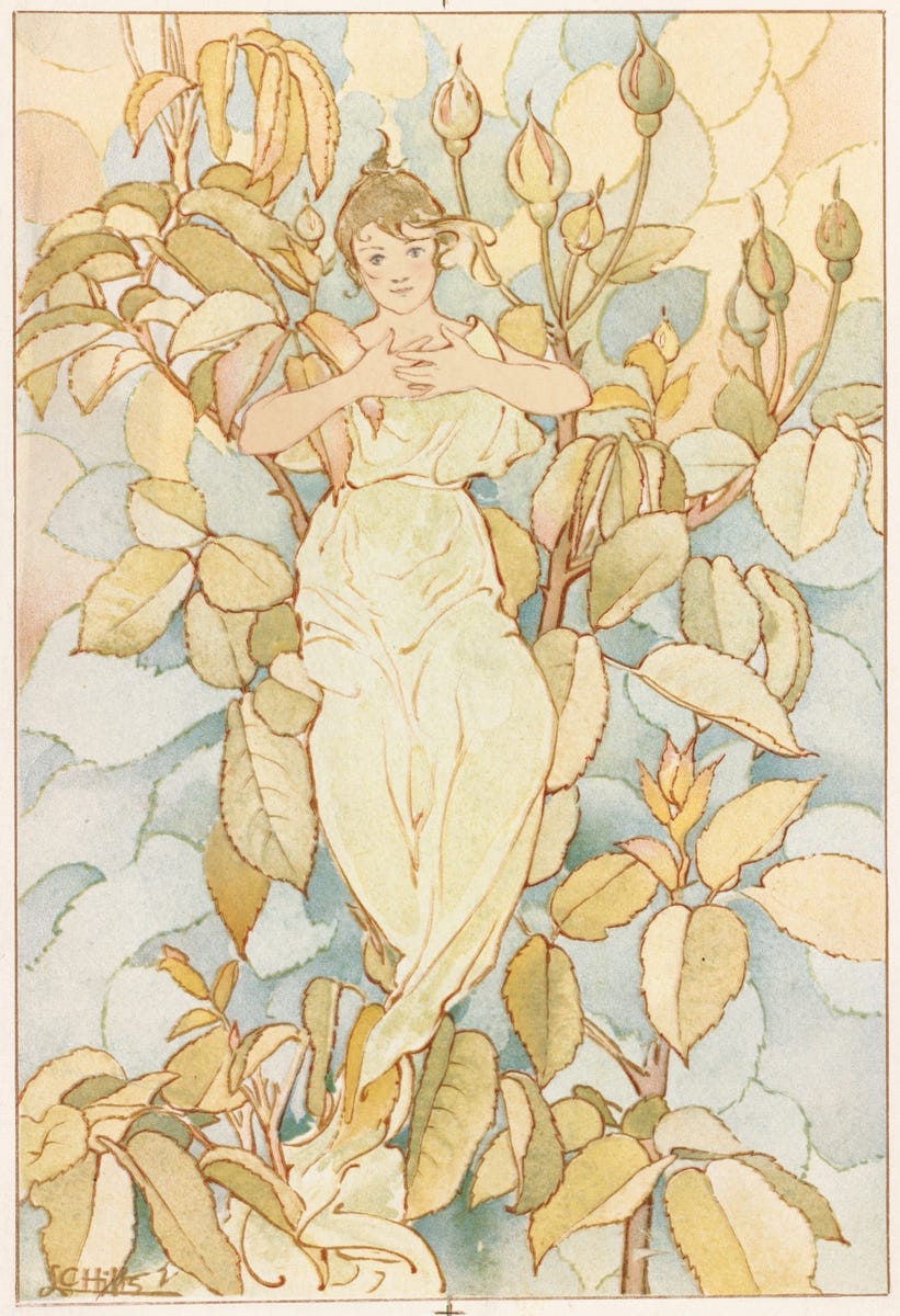 Flower fairy art Flower fairy art