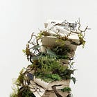 Wilderment: Creative Writing in the Time of Climate Change 