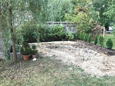 Starting to dig the pond and bogs