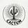 Cactum | Quant Investing