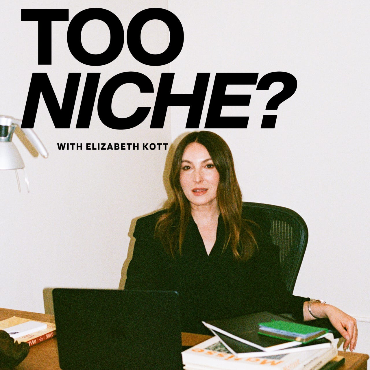 Too Niche Mood Board