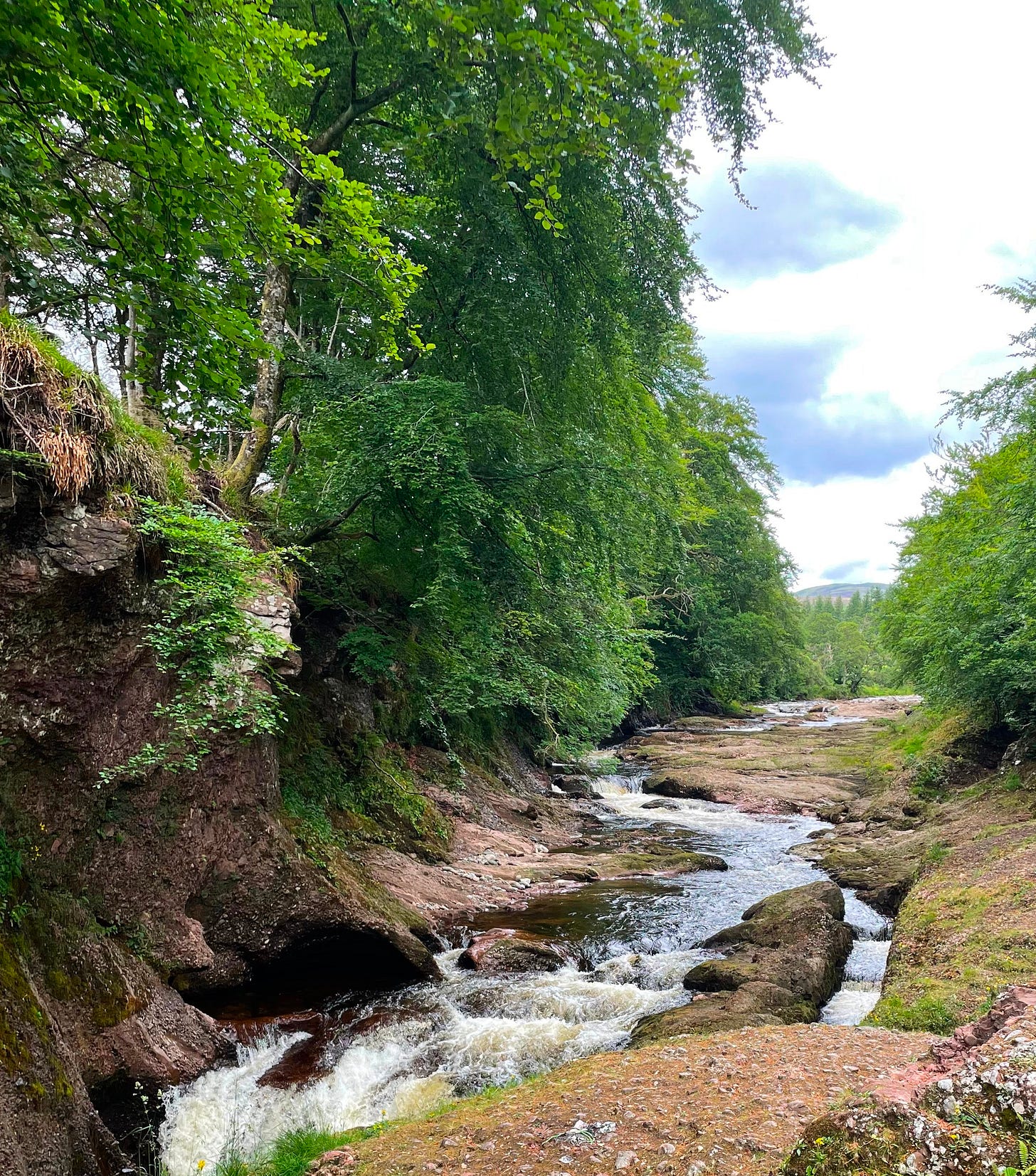 A river winds peatily between rocks towards us, surrounded by beech trees in full green 