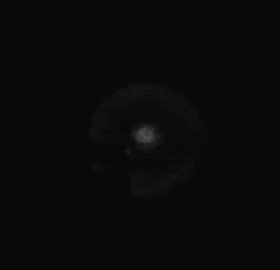 The Great Awakening: Prophecy, Dreams, and the Return of the Watchmen