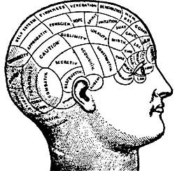 Kiingo&#39;s Writing Thesaurus - PHRENOLOGY
