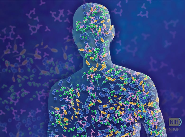 Research project 10: Host adaptation via change in its microbiome thumbnail Research project 10: Host adaptation via change in its microbiome thumbnail