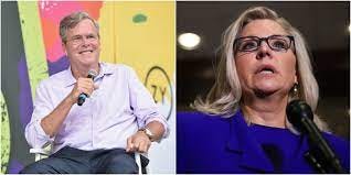 GOP Donors Are Quietly Sending Liz Cheney Campaign Cash