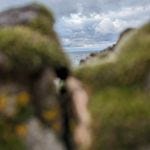 куда я жмав