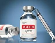 9,200+ Penicillin Stock Photos, Pictures & Royalty-Free ...