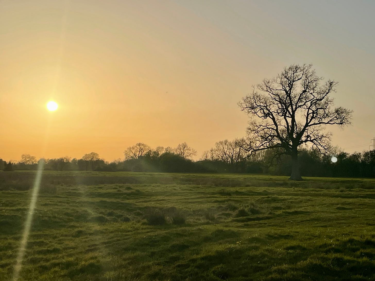 A yellow sun casting shadows over a field with a single, stately tree in the centre A yellow sun casting shadows over a field with a single, stately tree in the centre