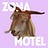Zona Motel