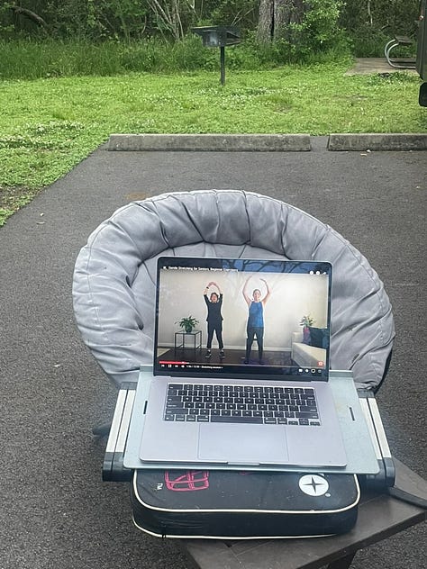 Photos of our site with my writing setup, Paddy's catio, our C4C banner and my stretching video.