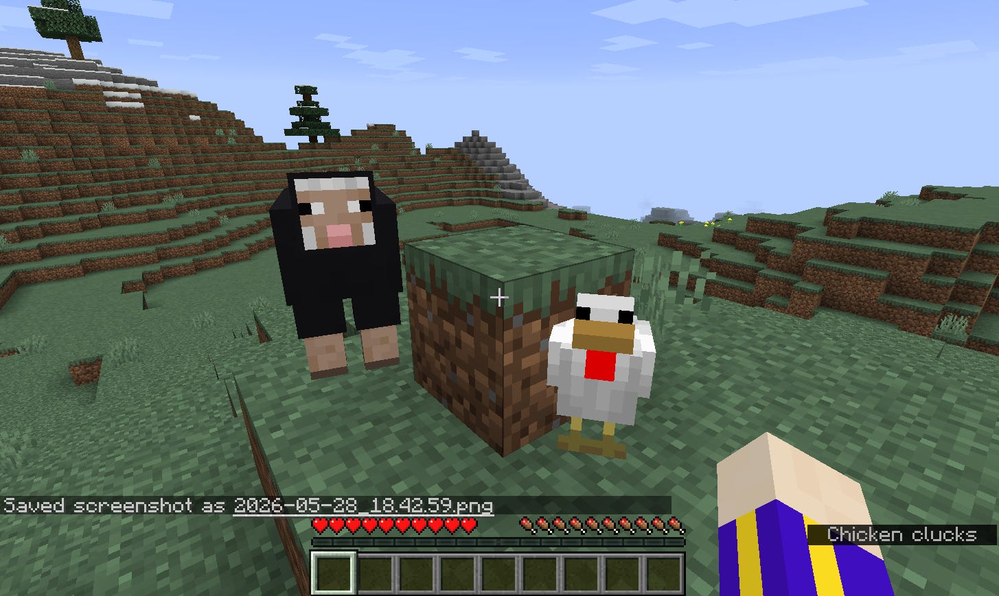 A sheep and a chicken looking at the player