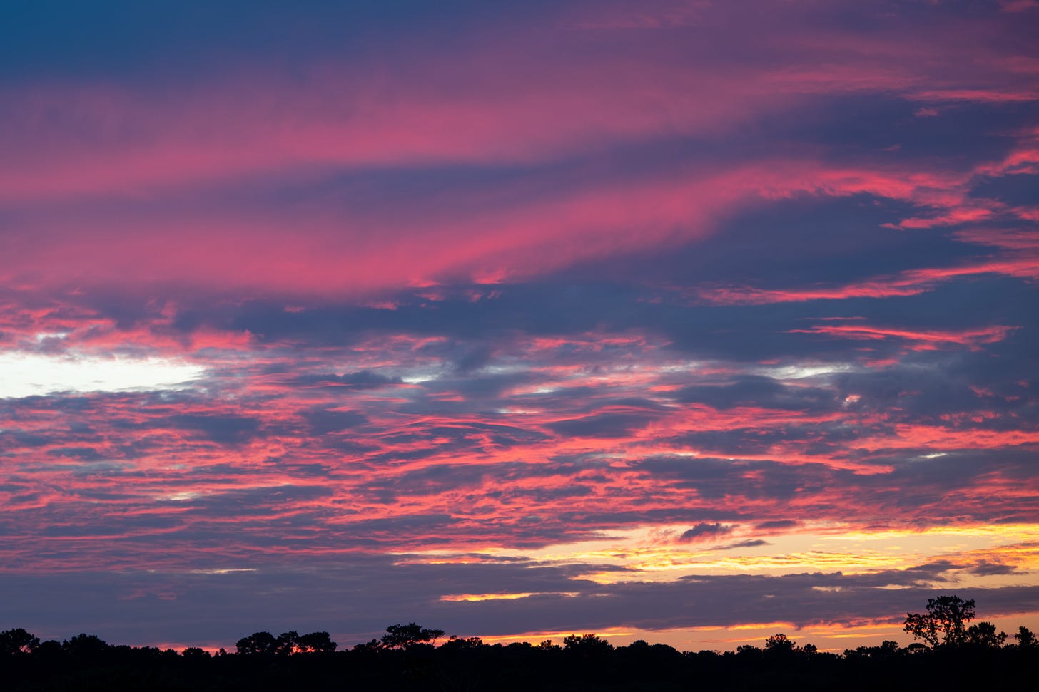 Vibrant sunset skies with pink and purple clouds, silhouetted trees along the horizon create a serene evening atmosphere.