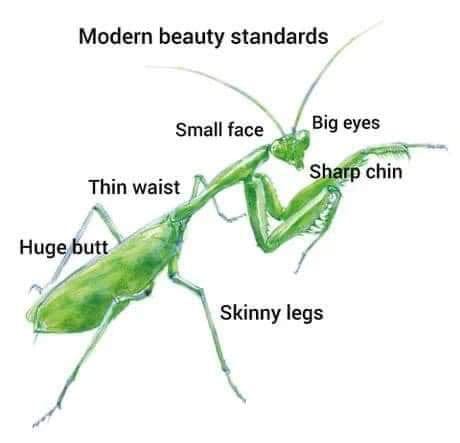 Modern beauty standards - 9GAG