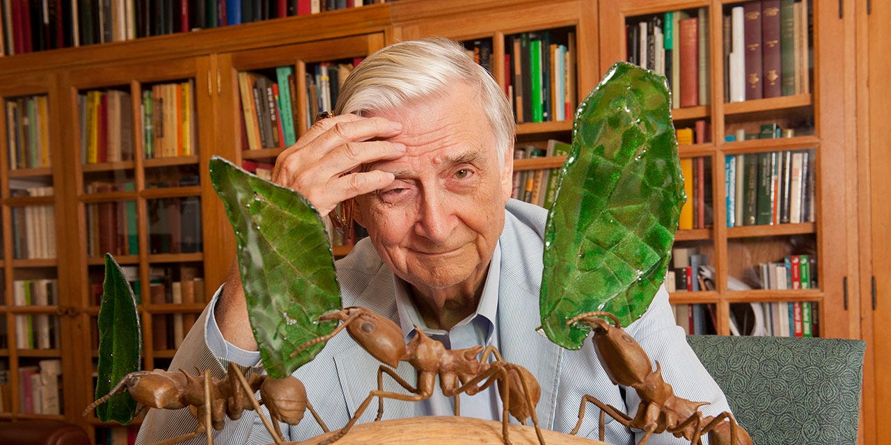 Edward O. Wilson, Sociobiology, and Politics | City Journal