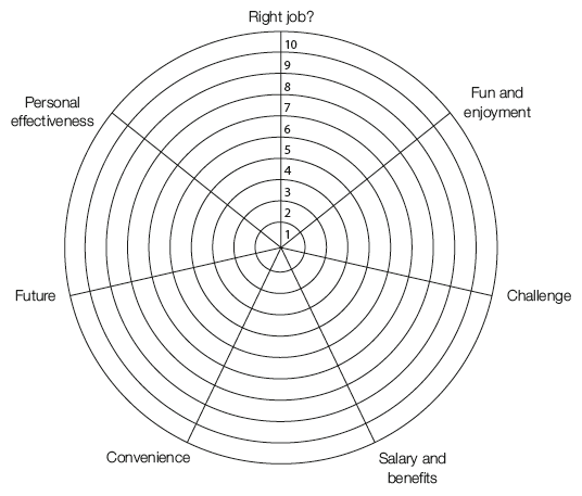 44 The Career Wheel - How to Have a Brilliant Life, 2nd Edition [Book]