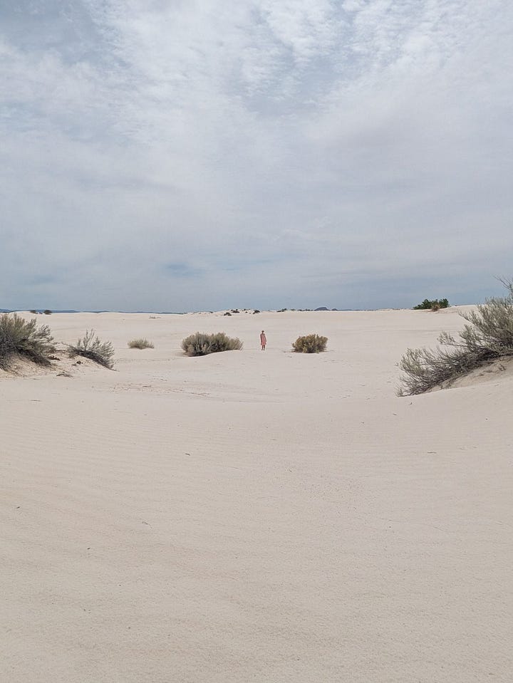 A beautiful pistachio milkshake. A bigass horizon of sand.