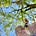 Dawn C. Allan's avatar
