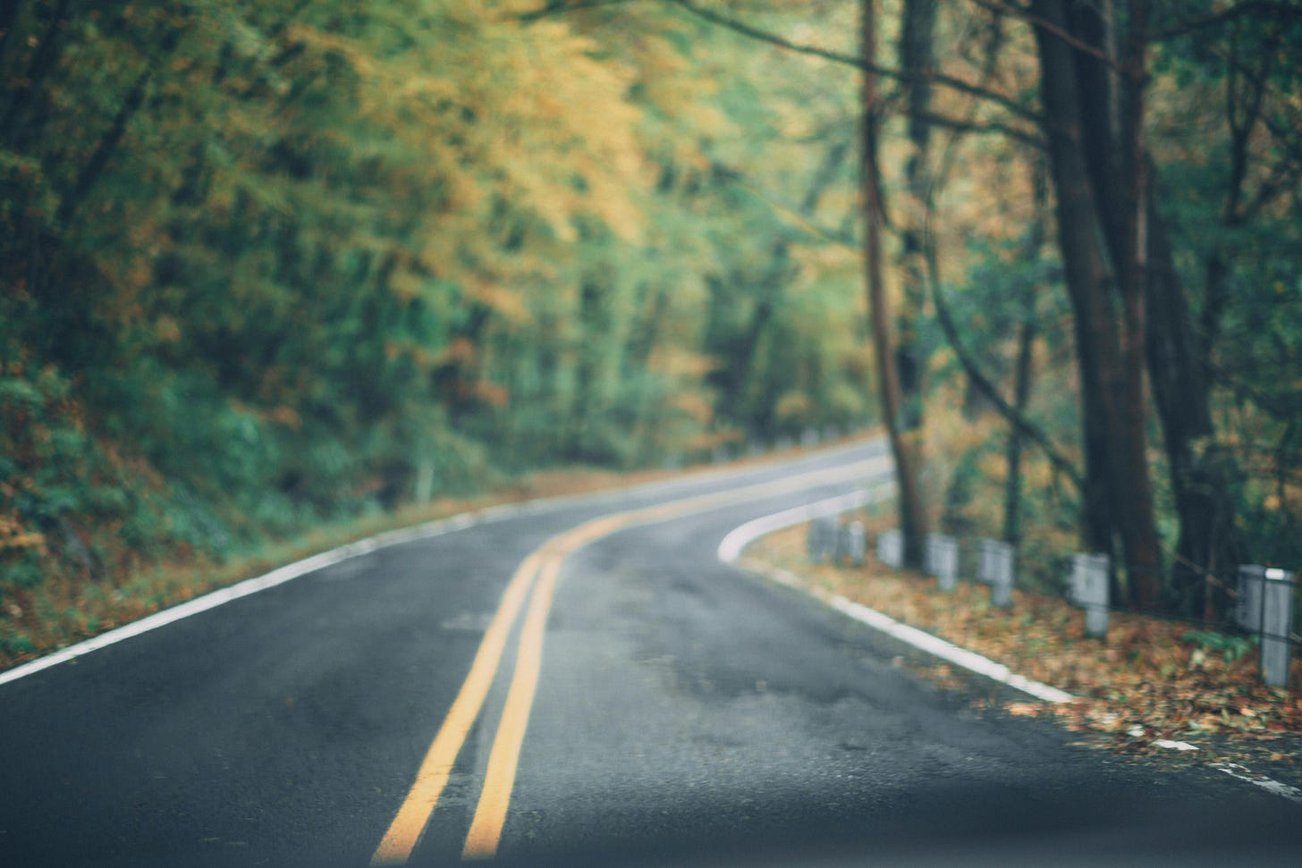 Photo by Craig Adderley: https://www.pexels.com/photo/asphalt-road-between-trees-1546901/