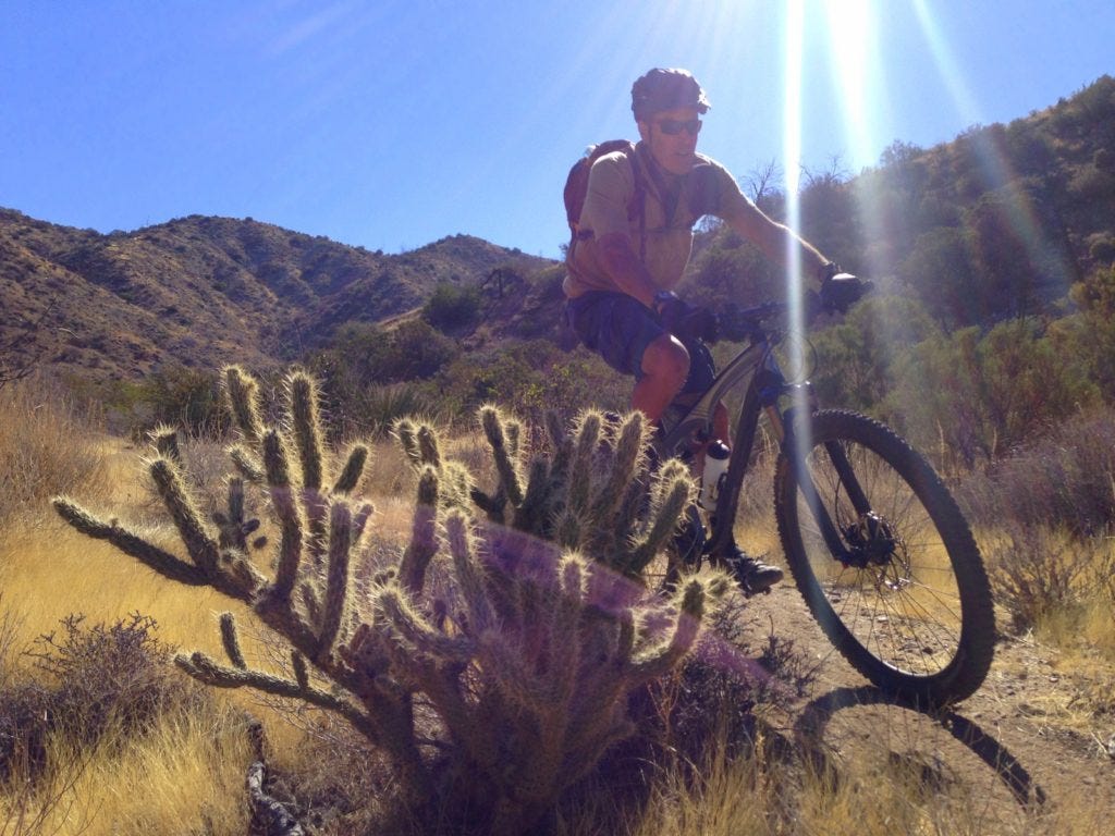 One needs to be careful biking in the desert! One needs to be careful biking in the desert!
