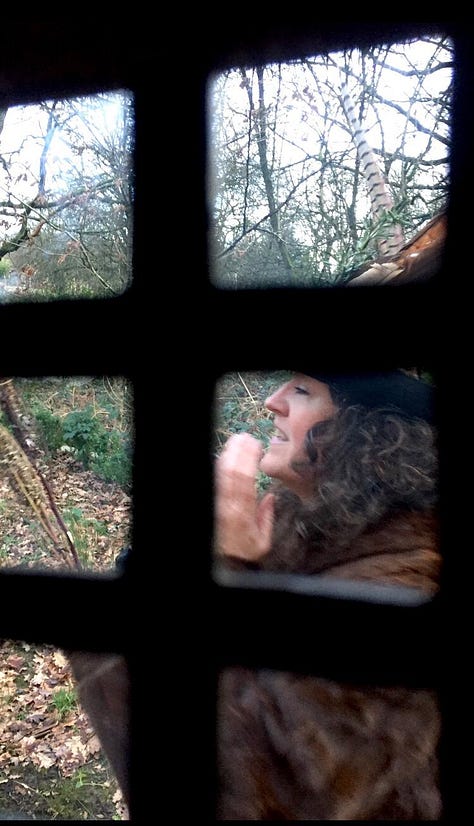 Wassailing