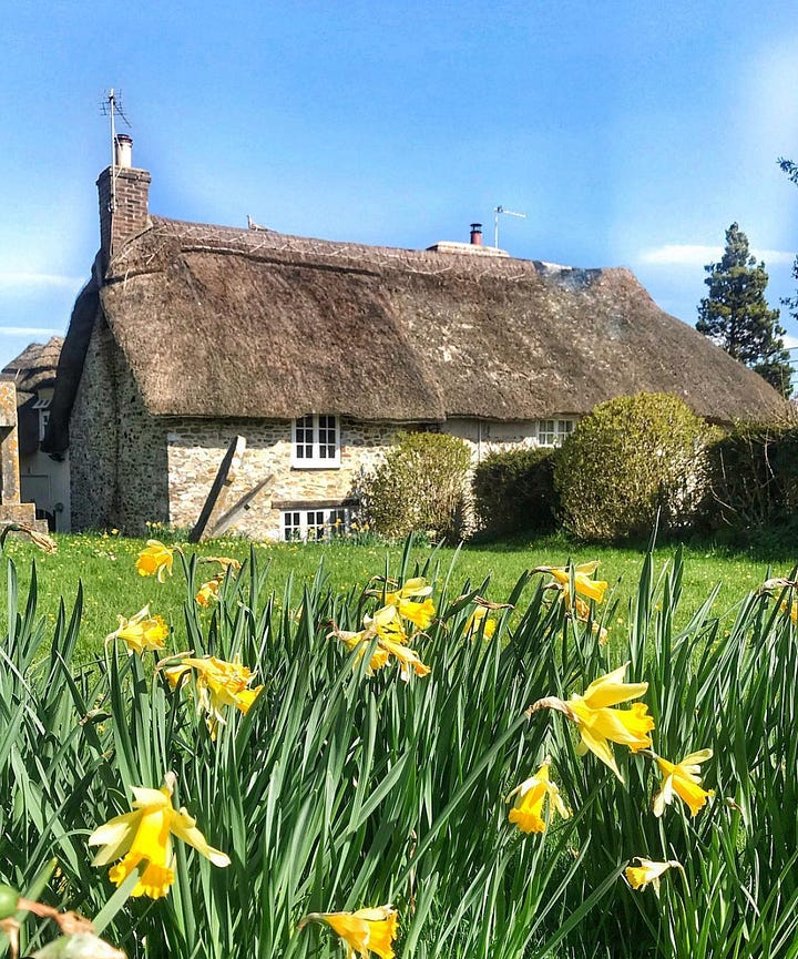 Devon cottages. Photos from Living in Devon