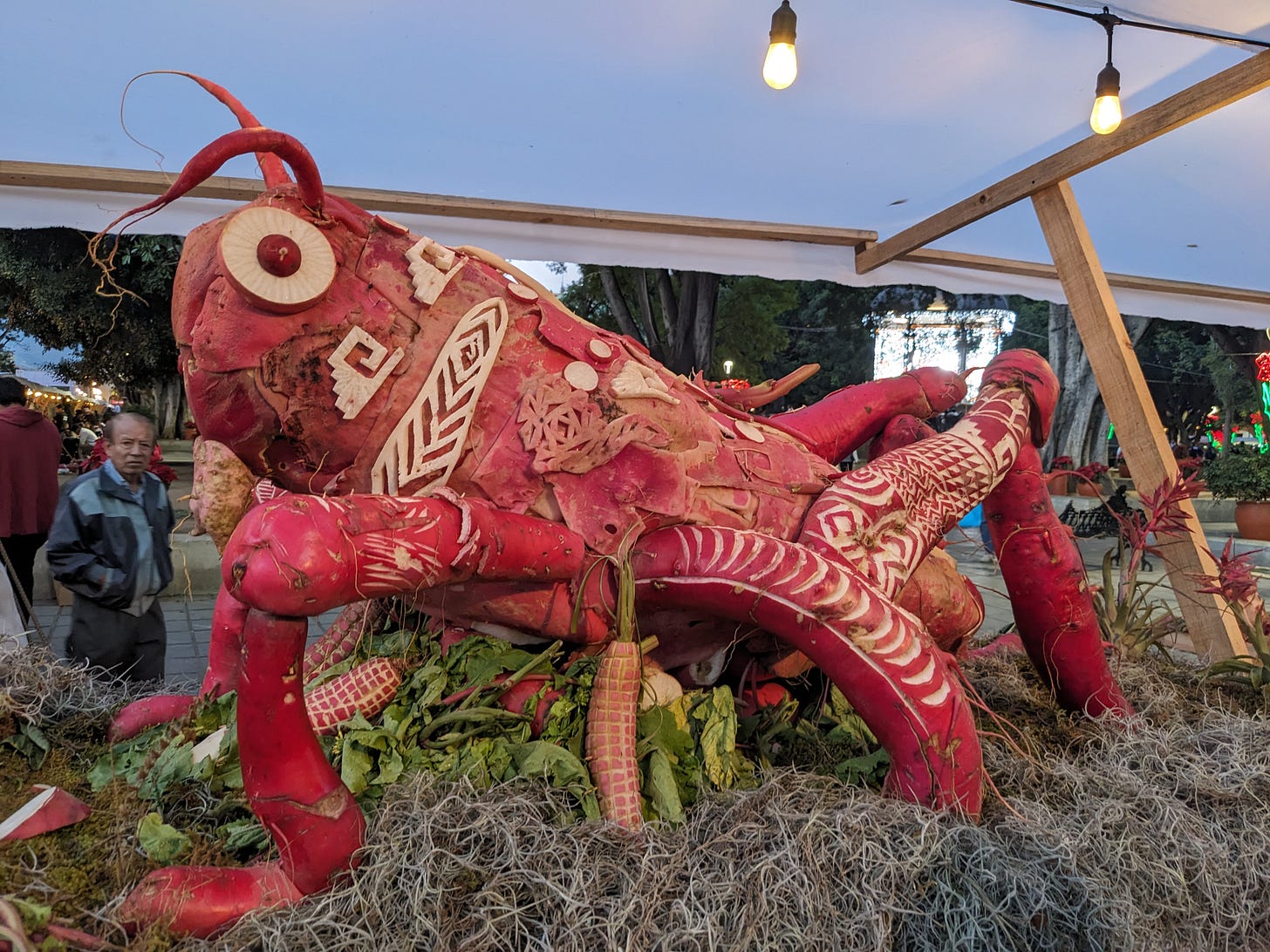A grasshopper with large white eyes is roughly carved out of red and white radishes.