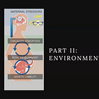 PART 3A: THE BEST CIRCADIAN NIGHTTIME ENVIRONMENT