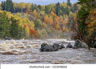 261 Jay Cooke State Park Images, Stock Photos & Vectors | Shutterstock