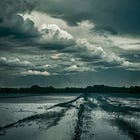 Geo-engineering: de verborgen hand achter mislukte oogsten