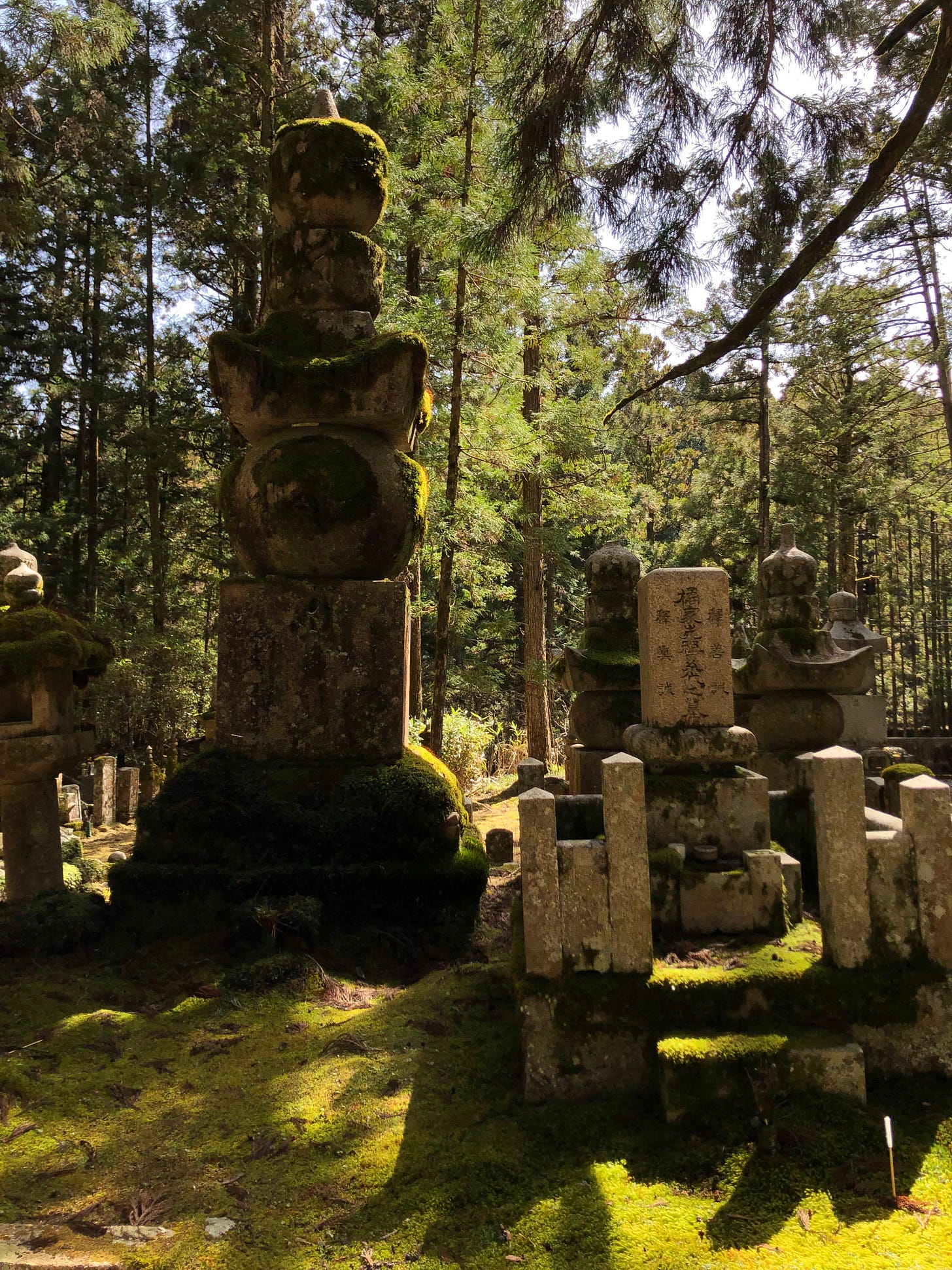 Gravestones in a cemetary