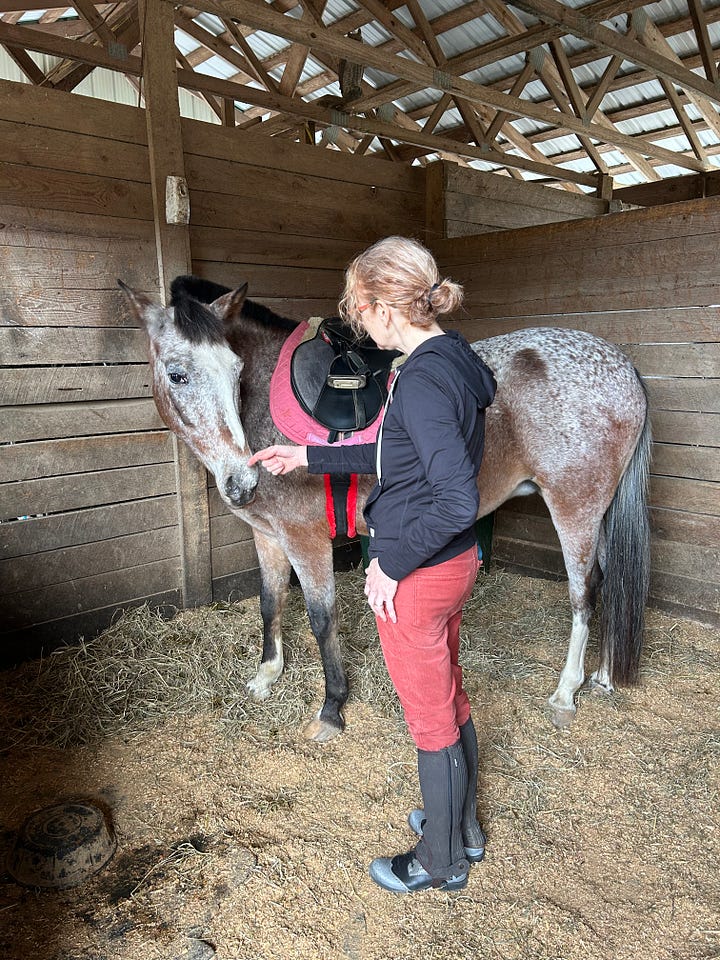 Nick van der Kolk gets ready to saddle up; Julie Shapiro says hello to her horse for the day <3