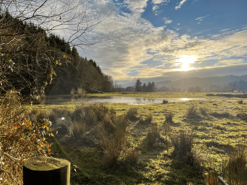 The southern view at Elkenmist