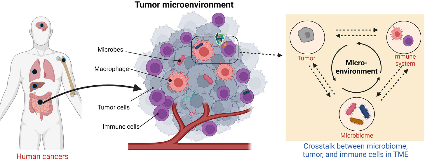 Frontiers | Tumor microbiome metabolism: A game changer in cancer  development and therapy