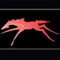 Lif Strand's avatar