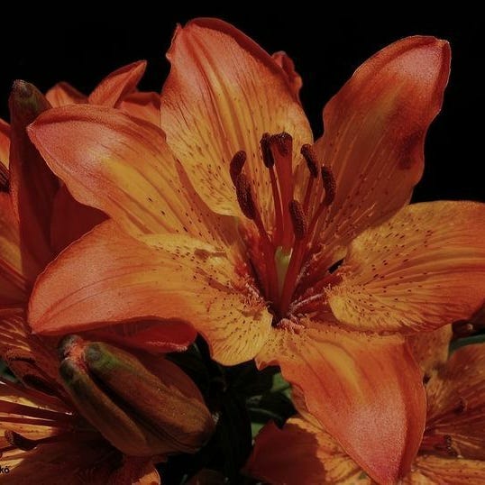 not only monday musings