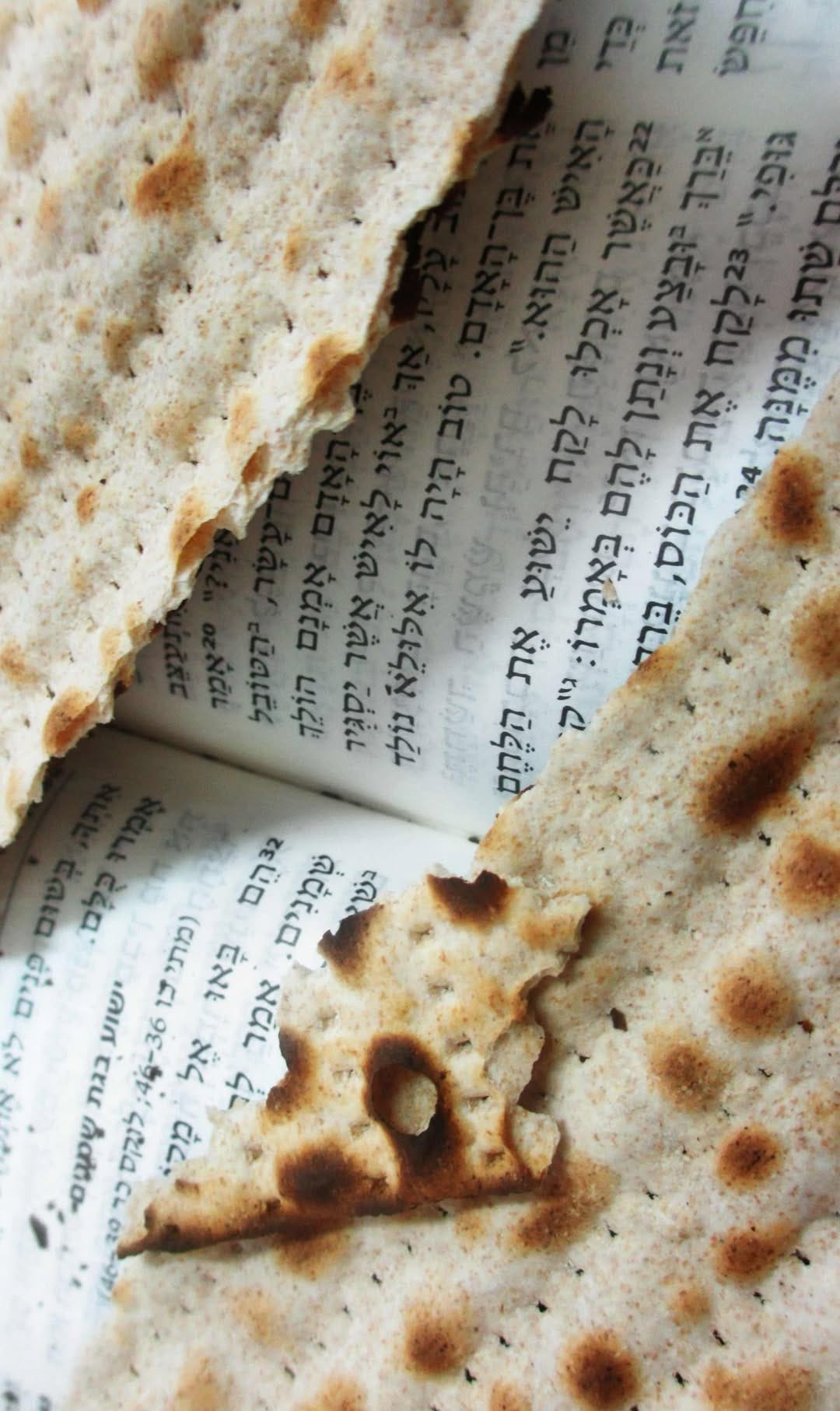 May be an image of rye bread and text