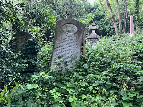 Gravestones upended by mass overgrowth